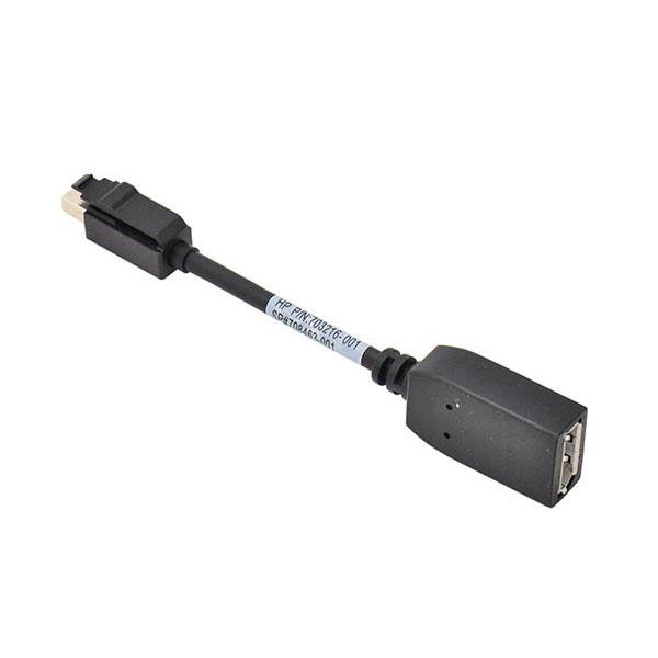 Купити Перехідник HP Mini DisplayPort to DisplayPort Video Interface Cable 703216-001