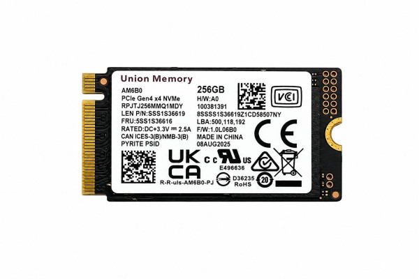 Купити SSD накопичувач Union Memory AM6B0 256GB M.2 2280 NVMe PCIe 4.0 x4 (RPJTJ256MMQ1MDY)